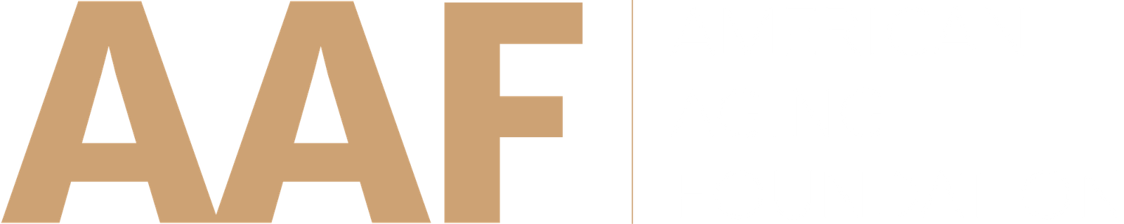 American Aging.Foundation